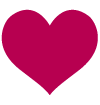 charity-icons-05 Jayden DeLuca Heart